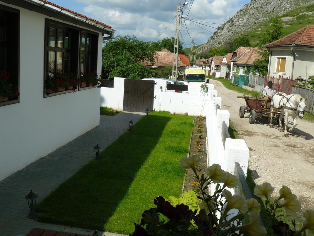Отель Casa Demeter Риметя Экстерьер фото